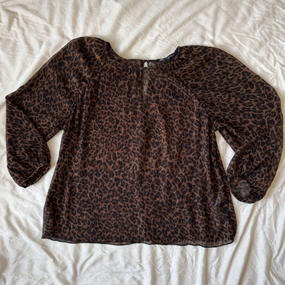 Zara Brown Sheer Leopard Print Blouse - Picture 8 of 9